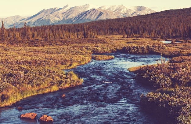 Rivière sur l'Alaska