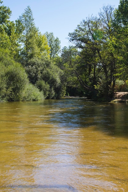 Rivière, alberche riverbank à Tolède, Castilla La Mancha, Espagne