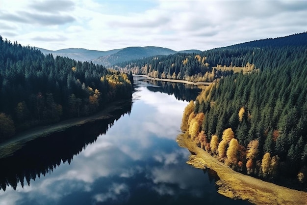 Une rivière avec des arbres et une rivière avec une rivière en arrière-plan