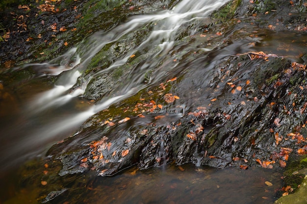 Rivière Et Ardoise Ardennes Belgique