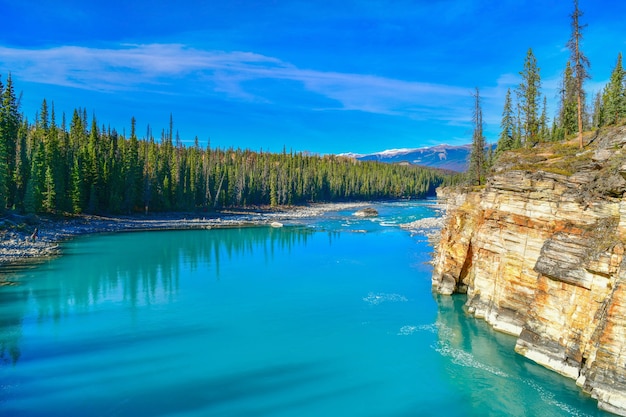 Rivière Athabasca qui coule des chutes Athabasca dans le parc national Jasper, Canada