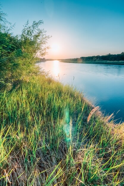 Rivière au coucher du soleil en été