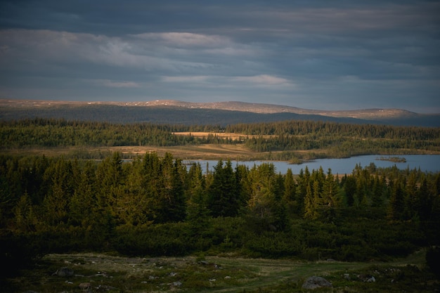 La rivière au milieu des arbres contre un ciel nuageux