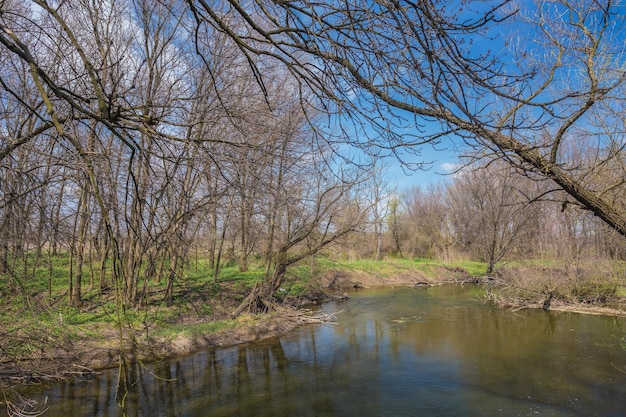 rivière au printemps