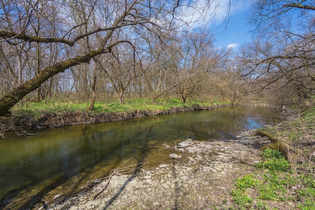 rivière au printemps