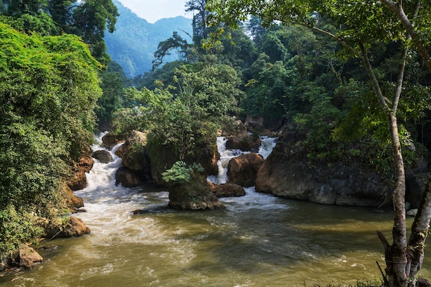 Rivière au Vietnam