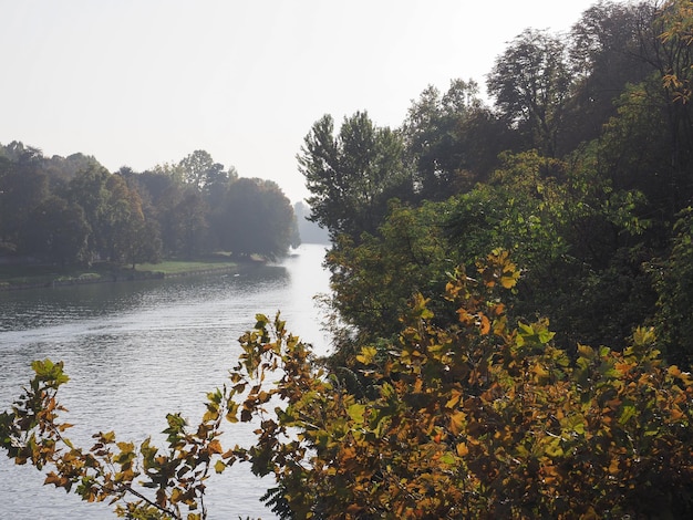 Rivière d'automne calme qui coule