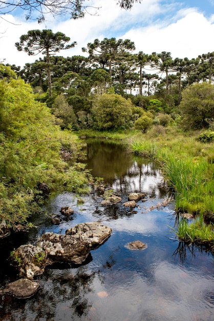 Rivière aux eaux cristallines dans les canons brésiliens