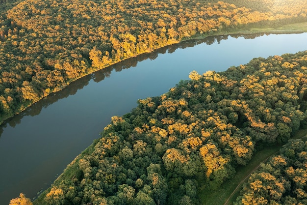 La rivière bleue coule à travers la vue de dessus de la forêt