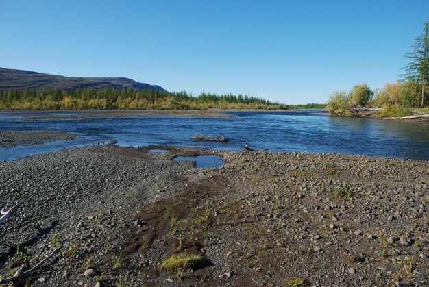 Rivière bleue sous le ciel bleu