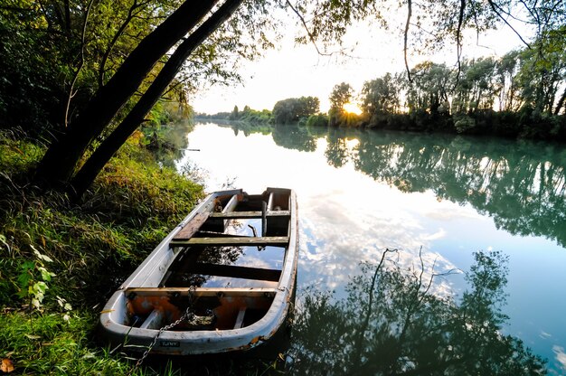 Rivière Brenta sauvage