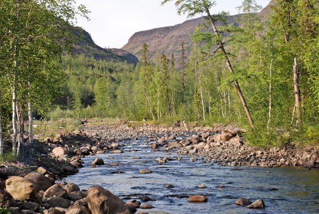 Rivière Bucharama