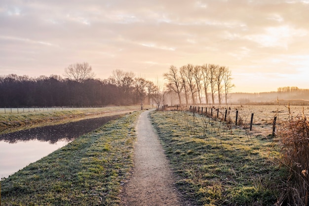 Rivière calme fantastique avec de l'herbe fraîche au coucher du soleil. Beau paysage d'hiver vert par une froide journée le matin aux Pays-Bas