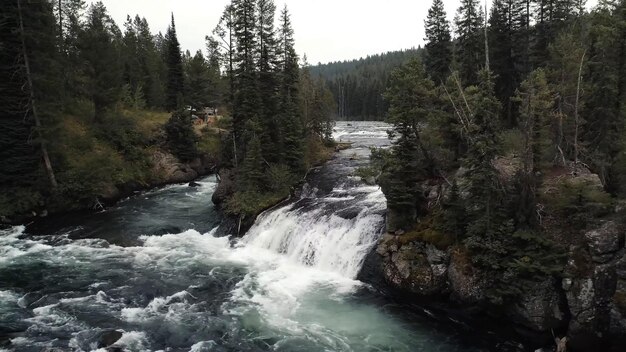 Une rivière avec une cascade et des arbres en arrière-plan.