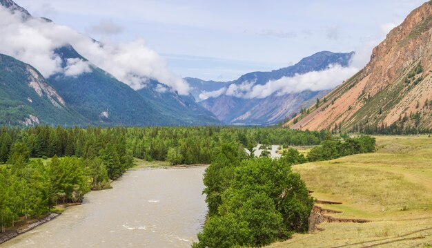 La rivière Chuya coule dans la vallée des montagnes de l'Altaï, temps nuageux, voyage d'été