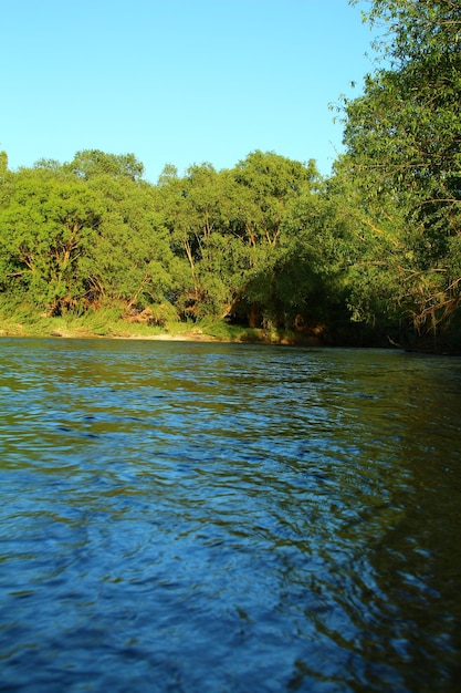 une rivière avec un ciel bleu et des arbres en arrière-plan