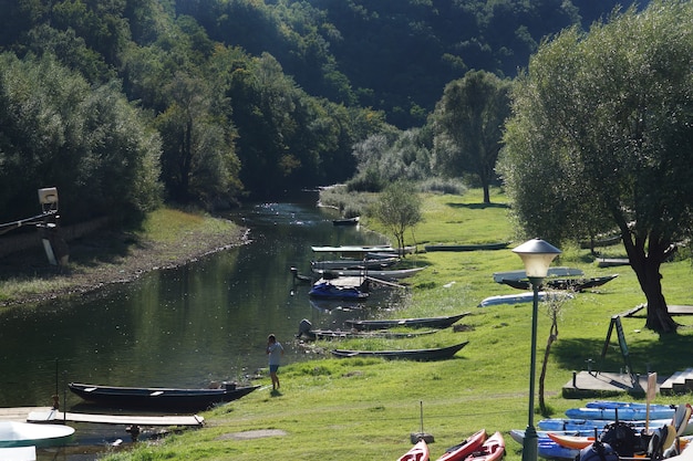 la rivière coule et les prairies verdoyantes sur les berges