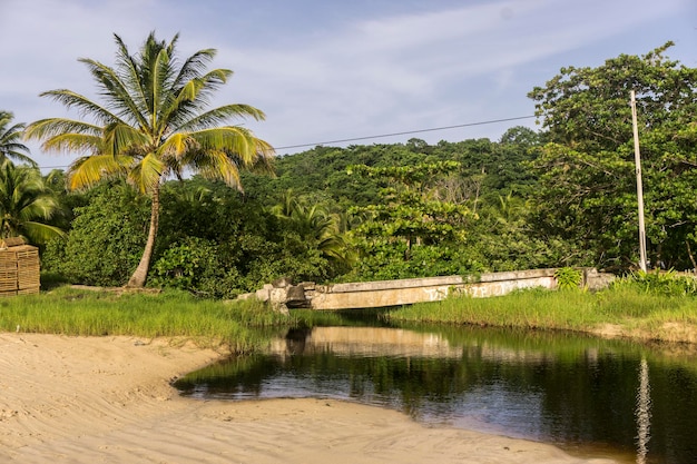 Rivière de couleur foncée près de la plage