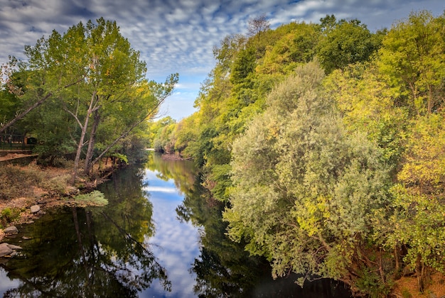 La rivière avec un courant tranquille