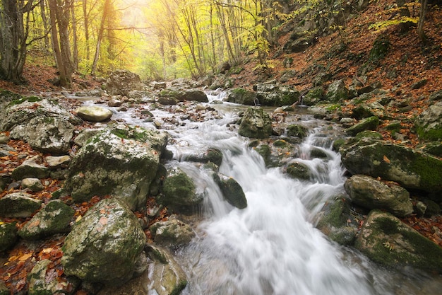 Rivière dans le canyon d'automne