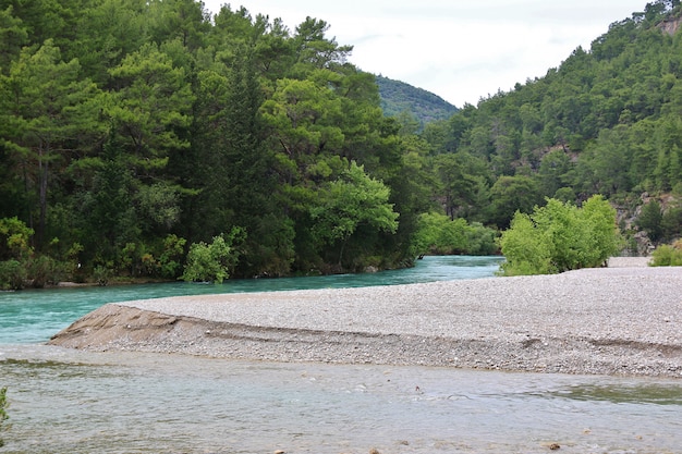 Rivière dans le canyon vert