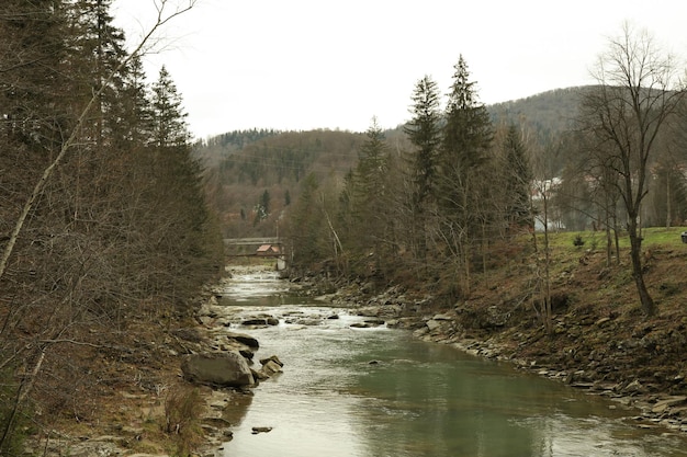 Rivière dans les Carpates en automne