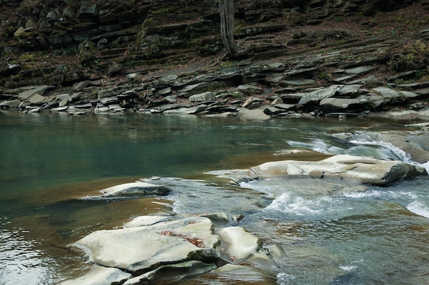 Rivière dans les Carpates en automne