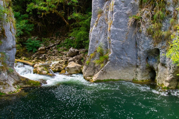 Une rivière dans la forêt avec une paroi rocheuse et une cascade