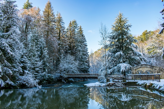 la rivière dans la forêt, paysage de montagne en hiver, sapins et rivière de montagne