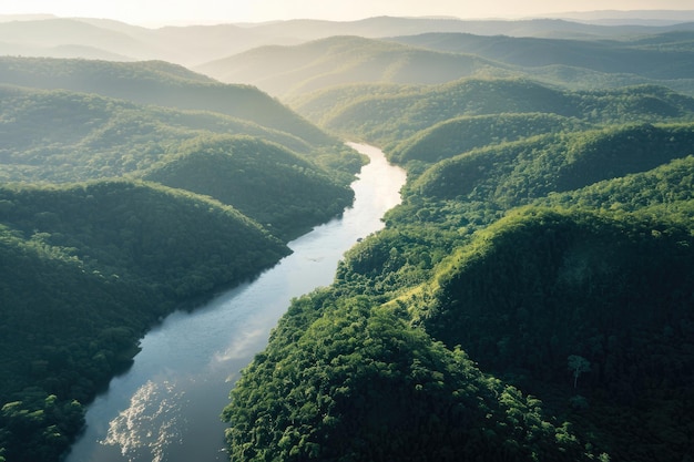 Une rivière dans la forêt tropicale