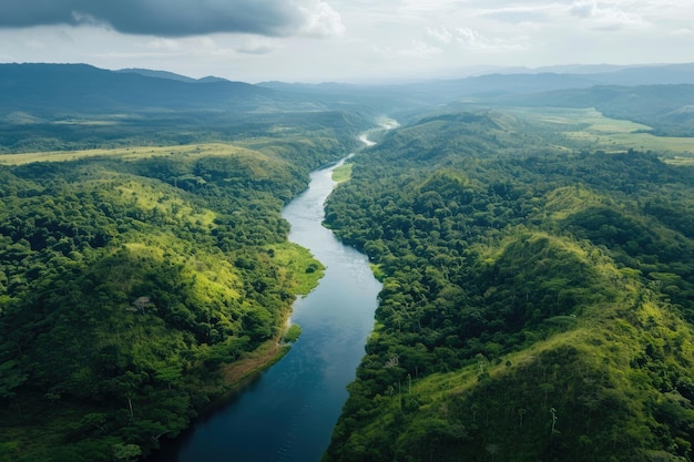 Une rivière dans la forêt tropicale