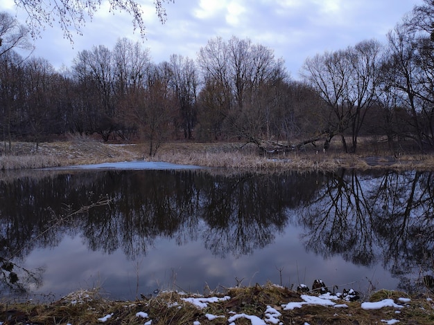 rivière dans la forêt