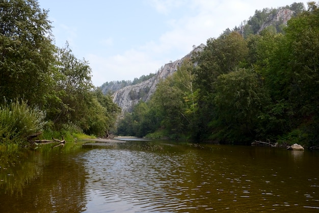 Rivière dans une gorge de montagne