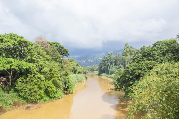 Une rivière dans la jungle avec des arbres et des montagnes en arrière-plan