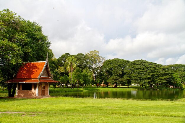 Rivière dans la jungle Thaïlande