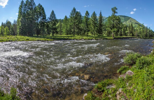 Rivière dans les montagnes de l'Altaï