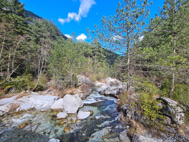 Une rivière dans les montagnes avec des arbres et des rochers