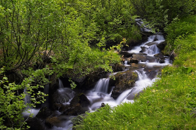 Rivière dans les montagnes entourée d'un écrin de verdure