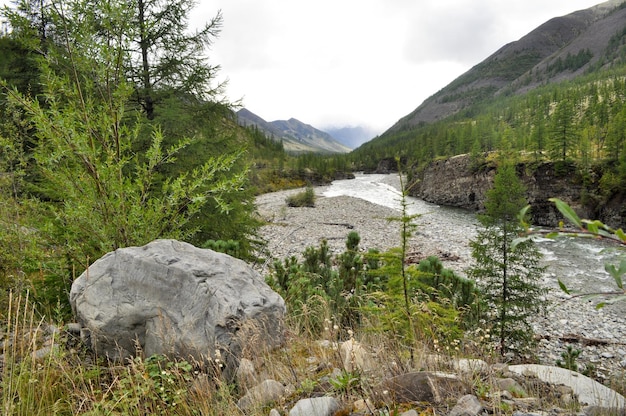 La rivière dans les montagnes de Yakoutie