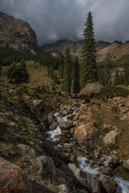 Photo rivière dans les montagnes