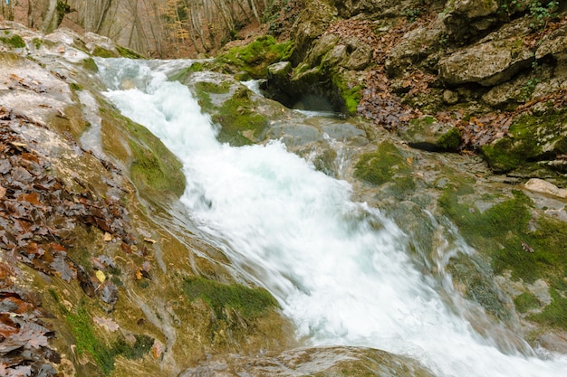 Photo rivière dans les montagnes