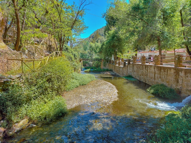 Rivière dans la nature