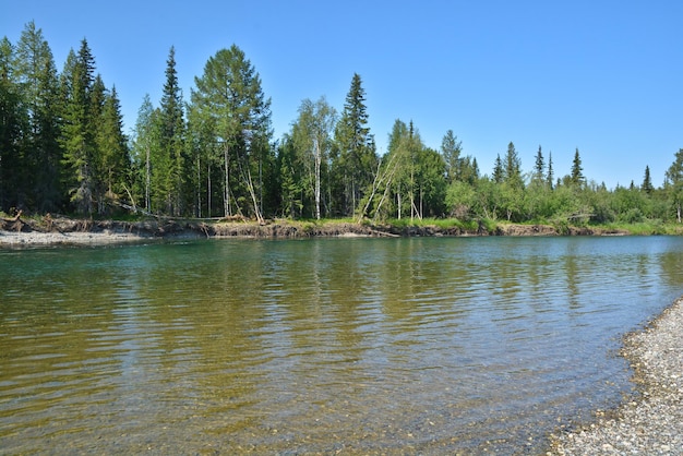 Rivière dans l'Oural polaire