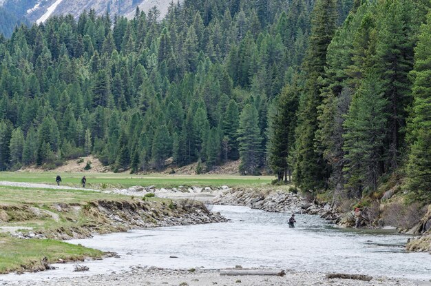 Rivière dans le paysage