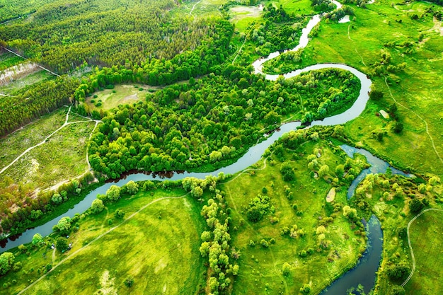 Rivière dans les prés