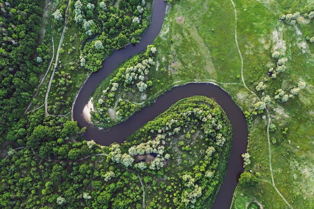 Rivière dans les prés