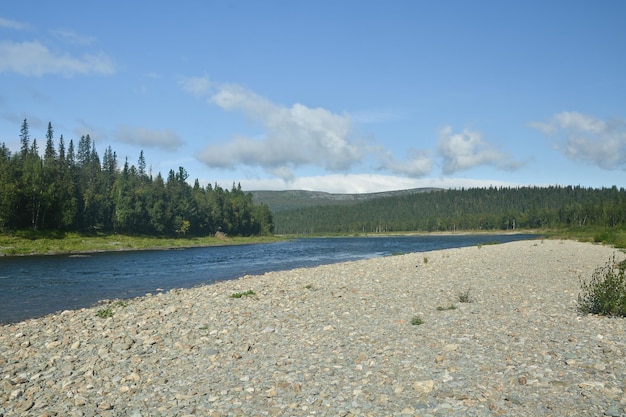 Rivière dans la taïga de montagne de l'Oural du Nord