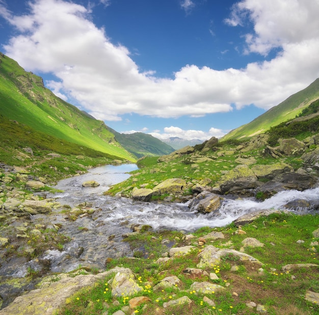 Rivière dans la vallée de montagne le jour