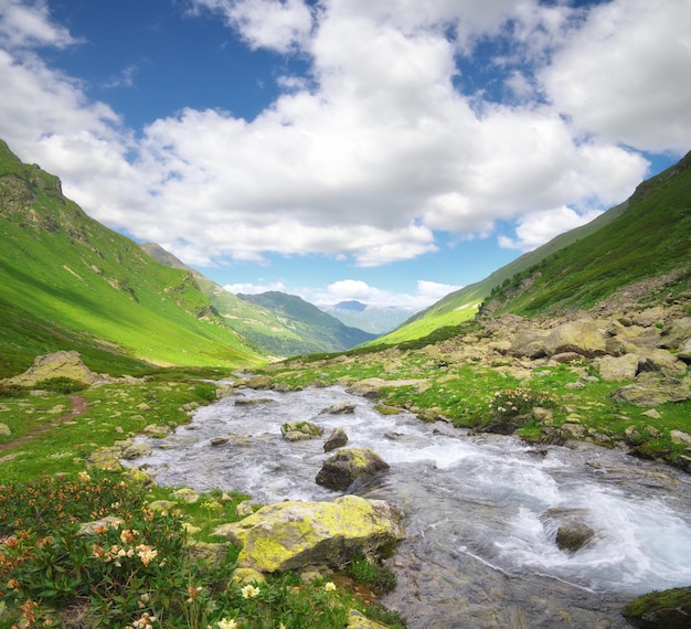 Rivière dans la vallée de montagne le jour