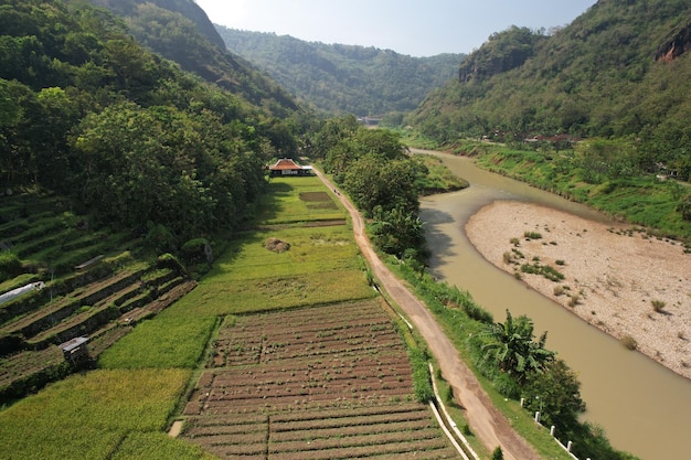 une rivière dans une vallée remplie d'arbres forêt tropicale humide